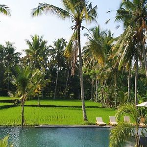 Bhanuswari Villas Ubud